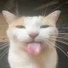 anhvitdeptrai0