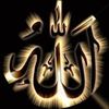 user098749446