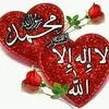 fatimafethi01