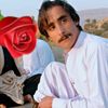asad.malang829