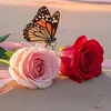user1120298401378