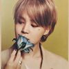 mainpopboy.jimin13