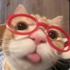 notjoy_3