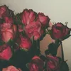 zm_13111