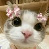 kuromi_girl68