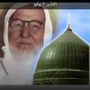 السيد سلطان