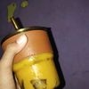 mesyagacor4