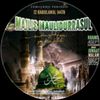 muhammad_kaizeraltair19