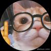 david.estigarribia0