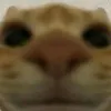khanglng8