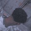 mucaad008