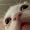 anhben10conemthibenai8