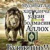 bol7bdeu83b