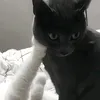 kuyaimman7