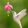 abu.mehmood3
