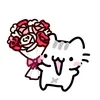 user785804265