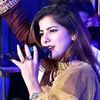 arshadalibajeer8