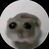 ngayngu3tieng0