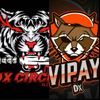 DX CIRCLE x VIPAY DX