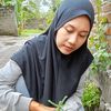 Dwi Brotowali jowo
