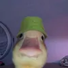 ilhamsiu1