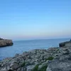 julia.seisenberge8