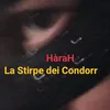 lastirpedeicondorr