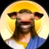 yesus.tolol.dongo