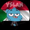 y__s249
