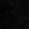 aaaaaia7