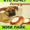 lolkekkrisa