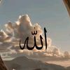 user8273711733030