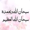 user8695409948231