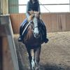 emmilou_eq