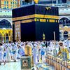 waqargabol170