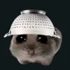 sigma.patryk0