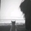 _dm._6
