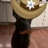 big_beary_fc_bro_blubs
