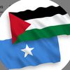 amira_abdalla1