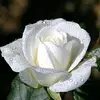 user2780825410957