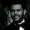 David Xo