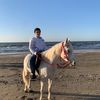 smsm.osman4