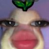 menita_posh