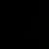 chip76788