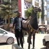 aabdisii