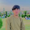 ghani....matoonwall