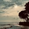 moments_of_pure_life