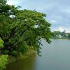 .mayabi.rajkonna80