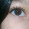 melaniden_isse63073