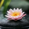 Diệu Tâm Hương 📿